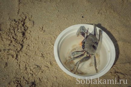 Beach tuba kabak, krabi fotografie, recenzii, hartă