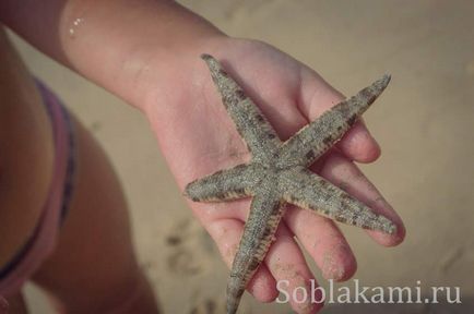 Beach tuba kabak, krabi fotografie, recenzii, hartă