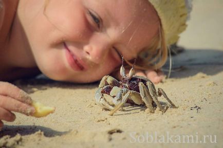 Beach tuba kabak, krabi fotografie, recenzii, hartă