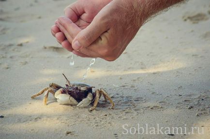 Beach tuba kabak, krabi fotografie, recenzii, hartă