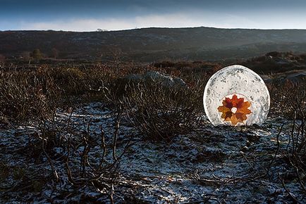 Artizanat din materiale naturale Land art