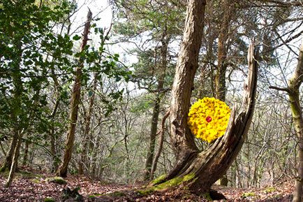 Artizanat din materiale naturale Land art