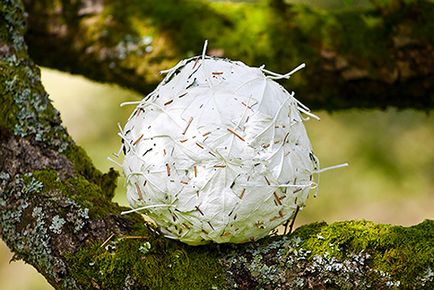 Artizanat din materiale naturale Land art