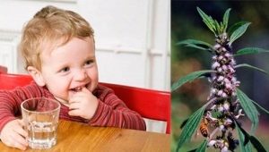 Planta de tuse pentru copii sirop herbion, manual de utilizare, recenzii