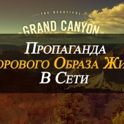 Постинг за гроші - як заробляти на розміщенні постів