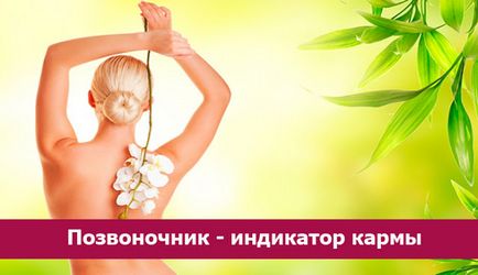 Gerinc - karma mutató - ezoterikus és önálló (a kulcsszavak itt) Gerinc - karma mutató - a spiritualitás és az önismeret