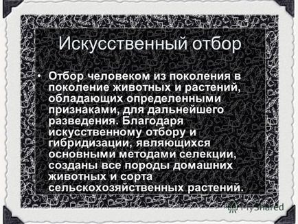 Презентація на тему штучний відбір собаки йоркширський тер'єр