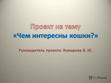 Презентація на тему керівник проекту комарова в