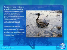 Prezentare - poluarea mediului (litri de apă pe zi) Prezentare - poluarea mediului
