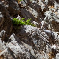 Природа кріта - путівник по острову Крит, Греція - Іракліон ру