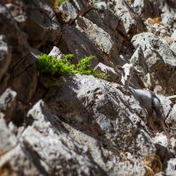 Natura Cretei - ghid pentru insula Creta, Grecia - Heraklion