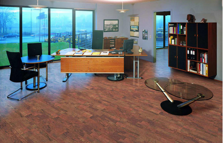 Cork laminate - avantaje, stil, producatori