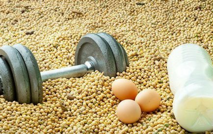 Alimentele bogate în proteine, de ce sunt importante, dăunează alimentelor din proteine ​​- alimentație sănătoasă și