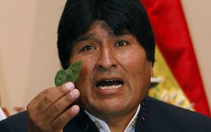 Profesie - Coca-leros, deoarece țăranii bolivieni cresc bushul de coca