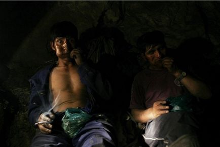 Професія - кокалерос як болівійські селяни вирощують кокаїнові кущі