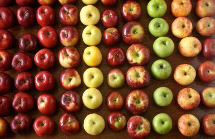 Простий і смачний рецепт смажені яблука в тесті