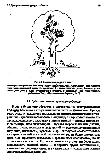 Structura spațială a comunităților