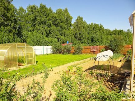 Перевірені рецепти моїх заготовок на зиму і не тільки - смачні заготовки на зиму з огірків -