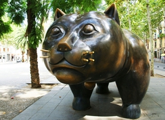 Равальскій кіт »- барселона, каталонія