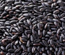 Rețete de feluri de mâncare din orez negru sălbatic