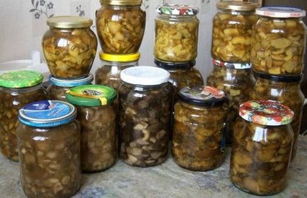 Рецепт консервованих маслюків на зиму в домашніх умовах, приготування грибів, фото, відео