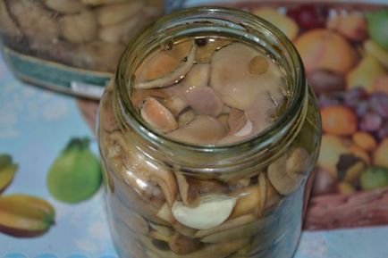 Рецепт консервованих маслюків на зиму в домашніх умовах, приготування грибів, фото, відео