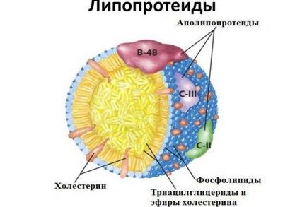 Резус-конфлікт при вагітності таблиця і наслідки для дитини