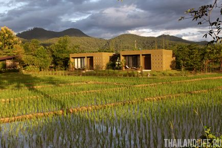 Рисові поля - краси півночі Таїланду