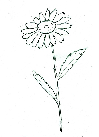 Desenați o floare de daisy cu creioane stabilo aquacolor