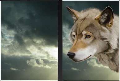 Desenați un lup în Photoshop