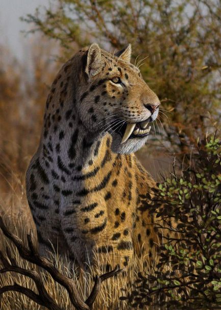 Sabretooth Tiger - un vechi reprezentant al prădătorilor de pisici