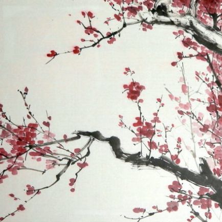 Sakura, tabără de vară