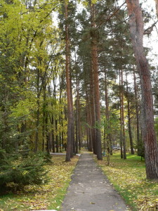 Санаторій - Шмаковський, санаторно-курортний комплекс - далекосхідний - фгку