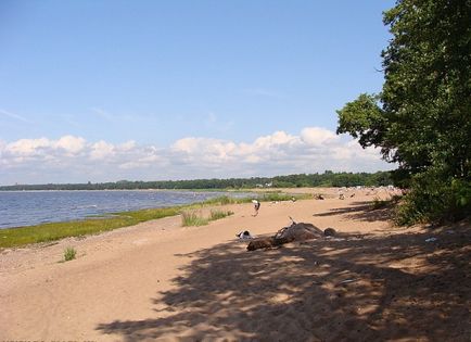 Сестрорецький пляж, Сестрорецк