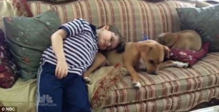 Catelul luat sub adăpost este recunoscut ca câine al anului pentru ajutorul acordat băiatului autistic în depășire