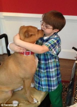 Kölyök, figyelembe alatt menedéket, kutya talált egy évben nyújtott segítség a fiú autista leküzdése