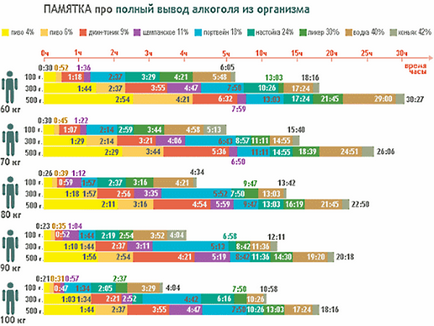 Скільки часу тримається алкоголь в крові таблиця, час розпаду