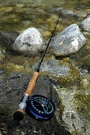 Combaterea pescuitului
