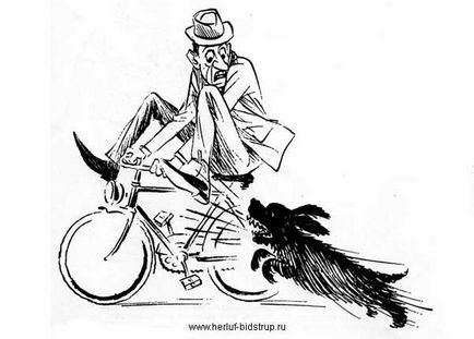 Câini și biciclete, biciclete