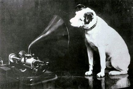 Câinii nu asculta un fonograf 