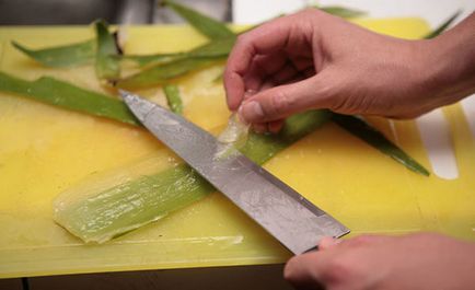 Aloe juice kezelésére takony - hogyan kell alkalmazni, receptek
