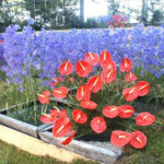 Soiuri de flori pentru cabane (42 fotografii) caracteristici nemernici, îngheț-rezistente și alte plante, fotografii și