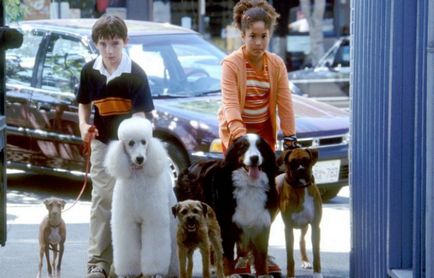 Lista de filme despre câini vorbitori și alte animale pentru copii, comedie, aventură