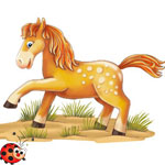 Poezii despre cal, poezii scurte despre cai pentru copii