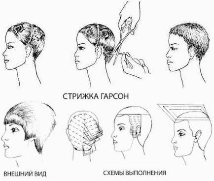 Tunsul pentru femei pentru tipuri de păr scurt cu o fotografie, care se va apropia, schema și tehnica de performanță