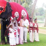 Nunta în ceremonia oficială și simbolică din Sri Lanka, prețuri și fotografii