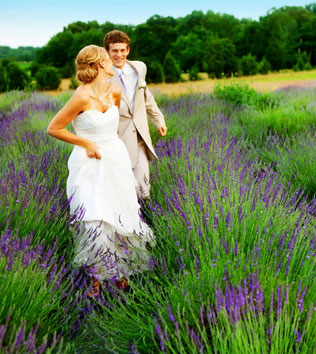 Nunta în stilul Provence