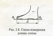 Таблиця розмірів взуття, таблиця розмір ноги