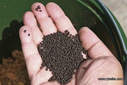 Tesztelés fogaskerék, pellet ponty zoom (Feeding Halibut pellet) Tesztelés fogaskerék, pellet ponty zoom
