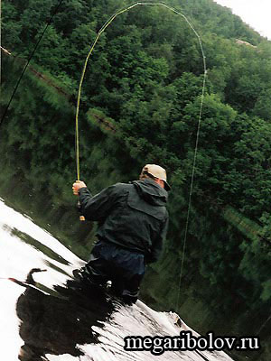 Tehnica turnării și pescuitului cu pescuitul zbura